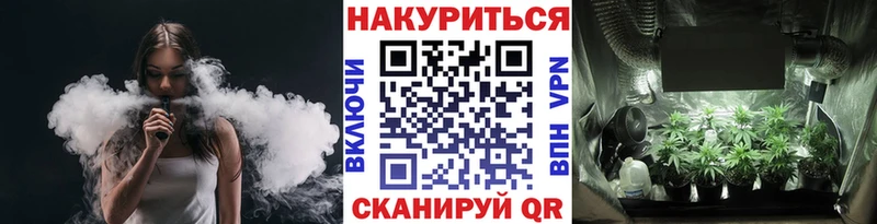 Канабис Amnesia darknet клад Гаврилов-Ям купить наркотики цена